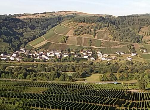 Gaestehaus-Weingut Michael Scholer Hotel Schleich Exterior photo