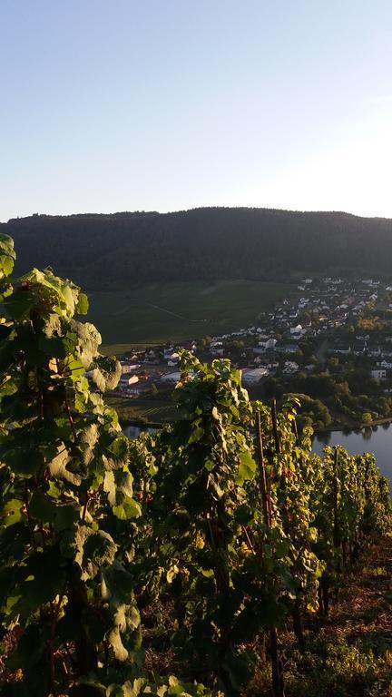 Gaestehaus-Weingut Michael Scholer Hotel Schleich Exterior photo